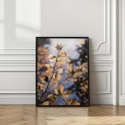 Golden Autumn Leaves