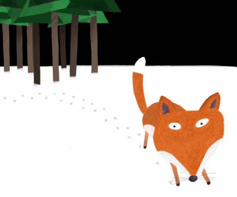 Little Red Fox Running in the Snow by Artist Carla Daly