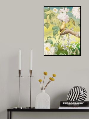 Yellow Bird In Our Garden