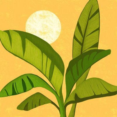 Sunny Golden Tropics