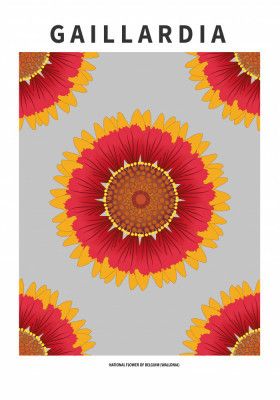 Gaillardia - National flower of Belgium
