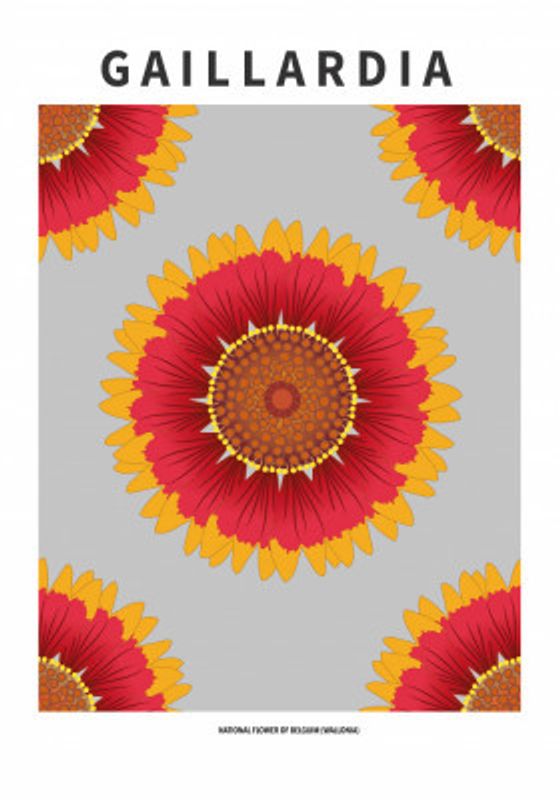 Gaillardia - National flower of Belgium