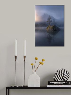 Misty Morning Solitude