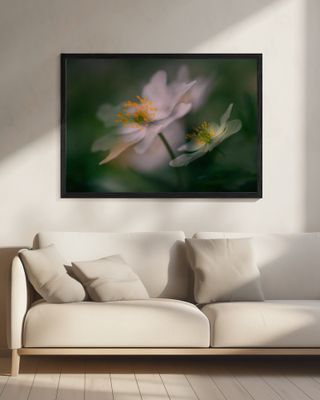 A glimpse of spring.