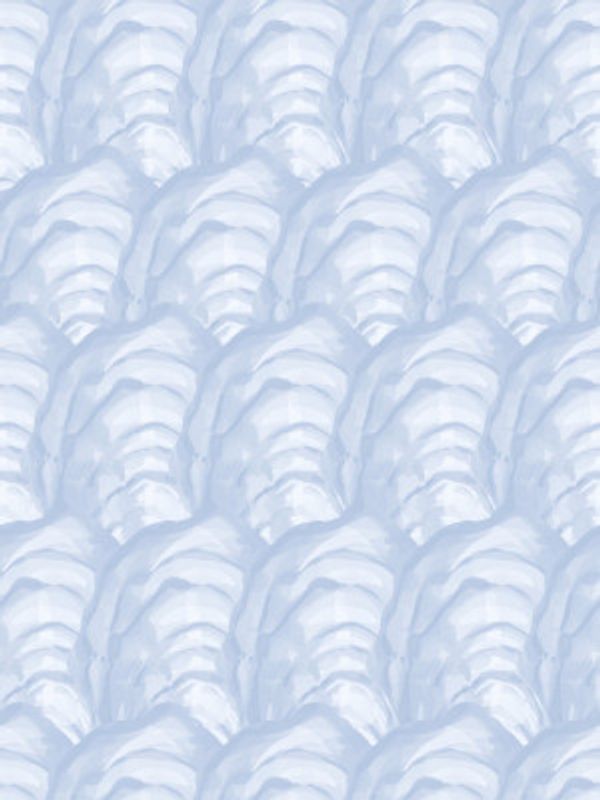 Oyster Shells