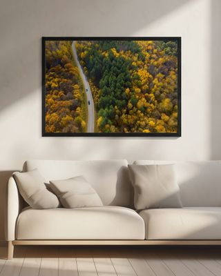 Bright moments of autumn