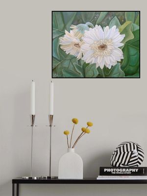 White Gerbera
