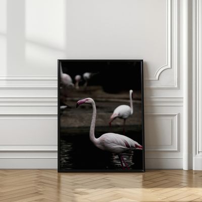 Elegant Pink Flamingo