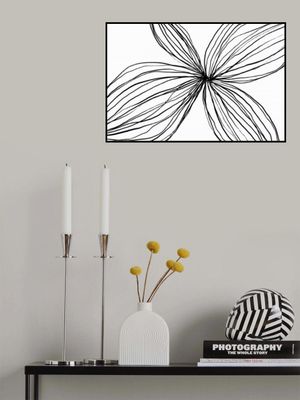 Elegant Black and White Petals