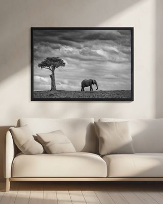Elephant Landscape