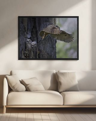 My babies are hangry