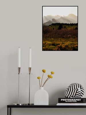 South Mesa Trail VIII