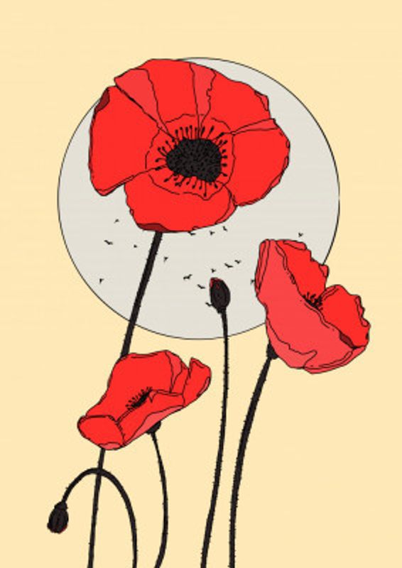 Vibrant Pattern Of Red Poppies