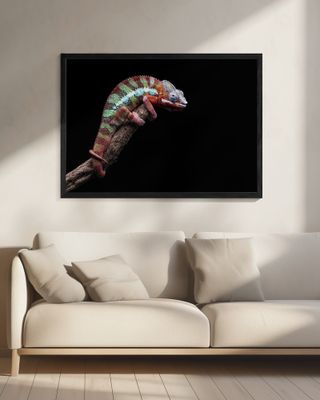 I Have An Eye On You