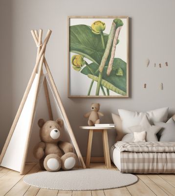 Spatterdock From North American Wildflowers (1925) By Mary Vaux Walcott.