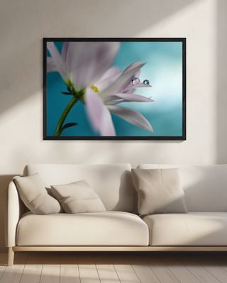 In turquoise Company