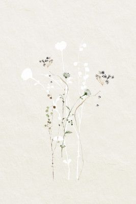Muted Botanical Elements
