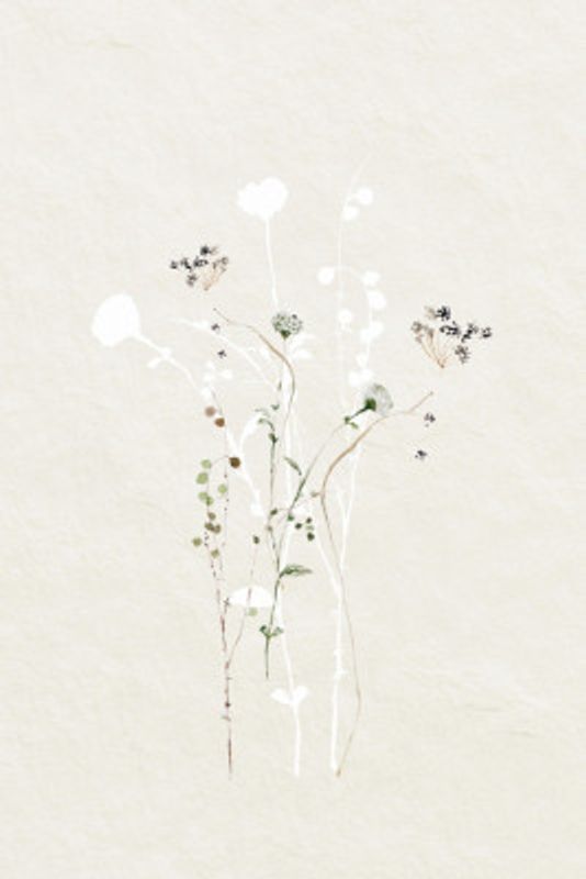 Muted Botanical Elements
