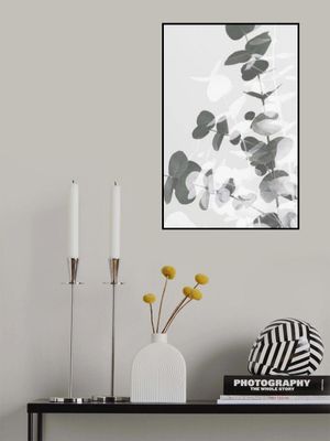 Eucalyptus Creative 09