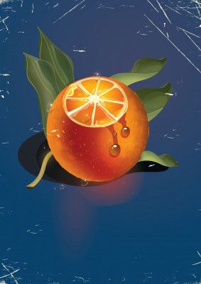 Juicy Citrus Delight