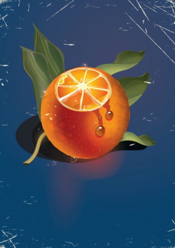 Juicy Citrus Delight