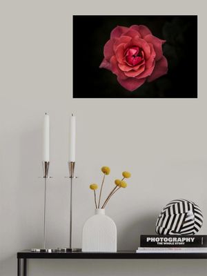 Simplicity is Beauty