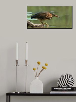 Wading Into The Unknown