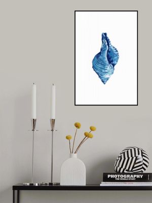 Blue Seashell On White Background No3