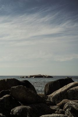 Nature Inspired Artwork