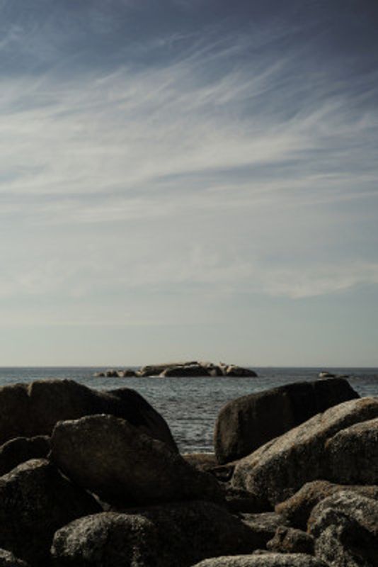 Nature Inspired Artwork