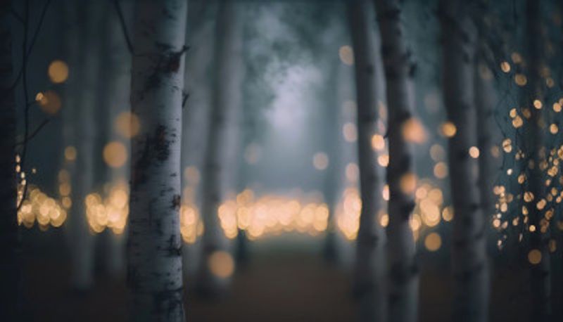 Enchanted Glow Forest