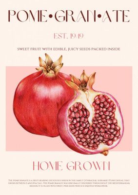 Juicy Pomegranate