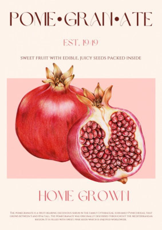 Juicy Pomegranate