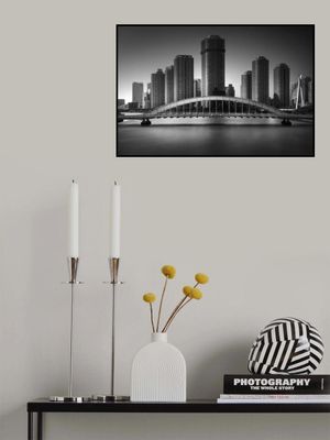 Bridge Profile Series @ Sumida River | No.5 | Eitai-bashiBr.,1926