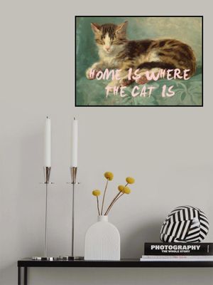 Home is where the cat is