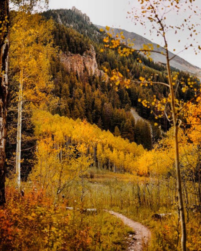 Conundrum Creek Trail II