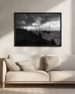 the wind brings the night