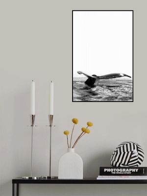 Whale Song Deep Dive