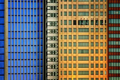 Windows on the City