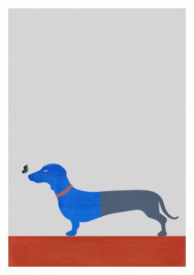 Blue Dachshund and Butterfly