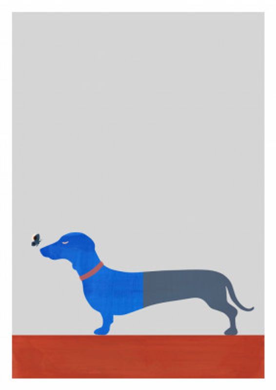 Blue Dachshund and Butterfly