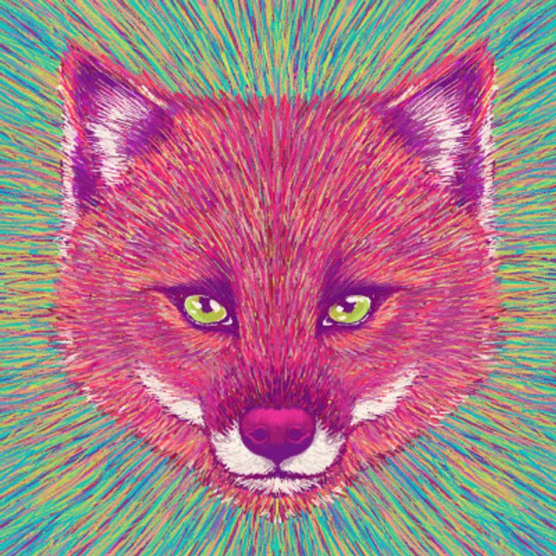 Animal Face   Fox