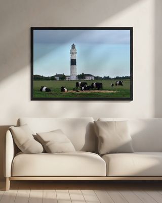 Everything black and white striped