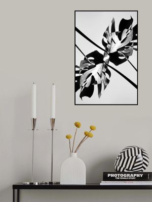 B&w Leaf Monstera
