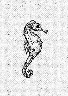 Whimsical Seahorse