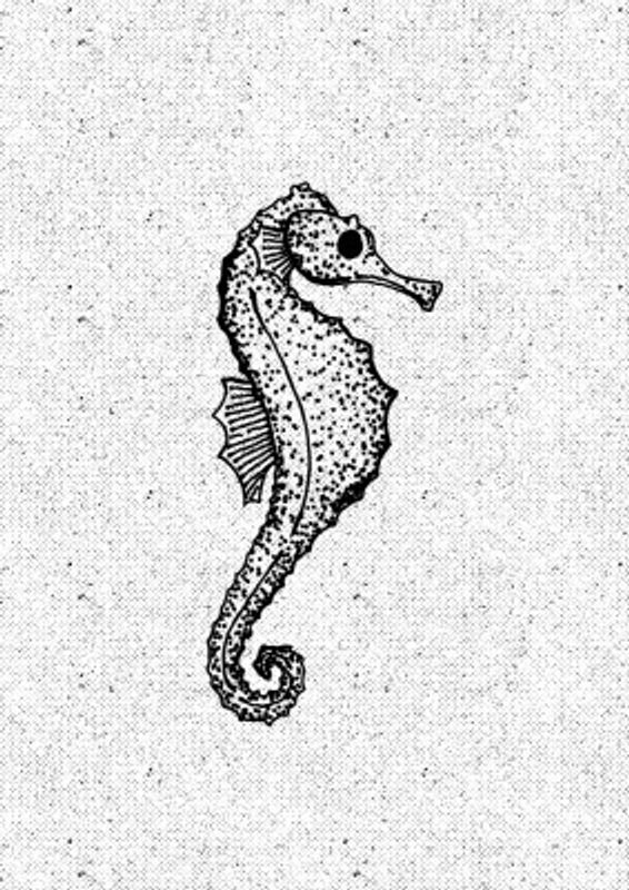 Whimsical Seahorse