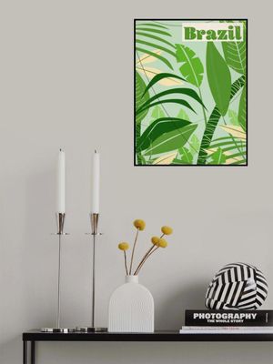 Brazil Vintage Travel Poster