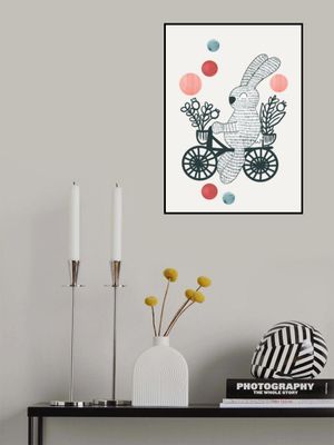 The Bunny and the Bike