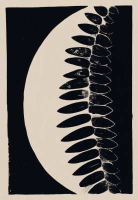 Lunar Fern Eclipse