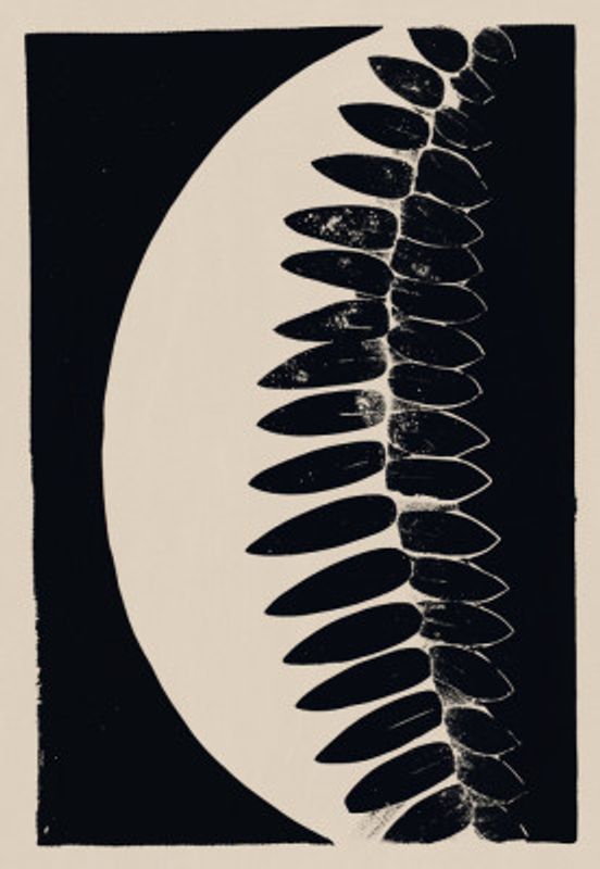 Lunar Fern Eclipse